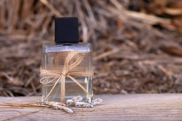 Delving into Musk Olfactive Notes: The Core of Warmth, Depth, and Sensuality | Series: Olfactive Family: Musk