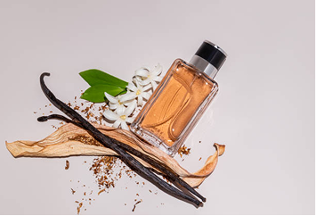 A Deep Dive into Chypre Olfactive Notes: The Architecture of Elegance | Series: Olfactive Family: Chypre