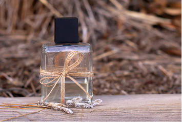 Delving into Musk Olfactive Notes: The Core of Warmth, Depth, and Sensuality | Series: Olfactive Family: Musk