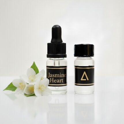 Aromatic Bases | Explore The World Of Perfumery with Aromaverse | Aromaverse