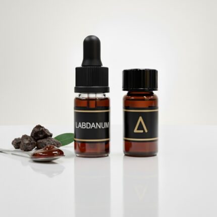 Aromatic Bases | Explore The World Of Perfumery with Aromaverse | Aromaverse