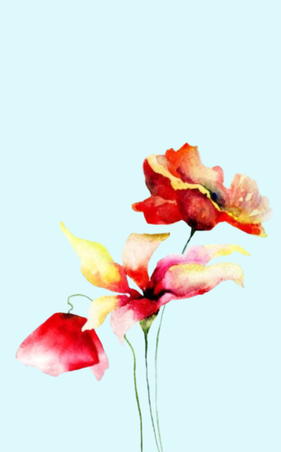 About us | Explore The World Of Perfumery with Aromaverse | Aromaverse