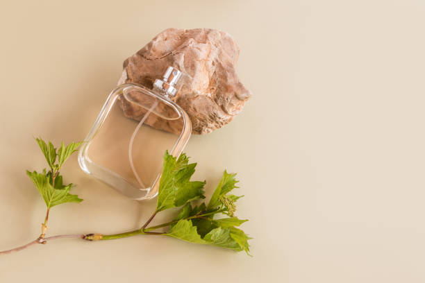 A Deep Dive into Fougère Olfactive Notes The Backbone of Classic Masculinity Series Olfactive Family – Fougère