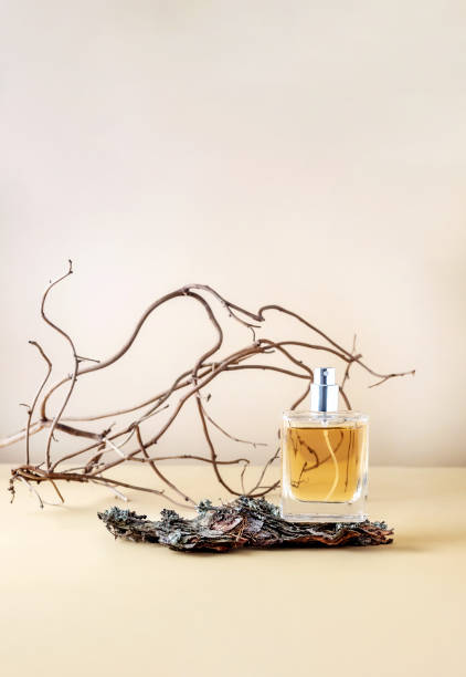 Discovering Amber Notes The Warmth and Richness Behind the Scent Series Olfactive Family Amber